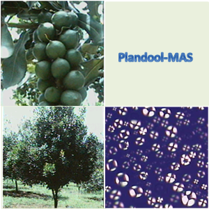 Plandool™-MAS（プランドゥール マス）_イメージ図